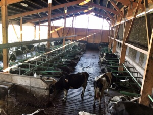 Sven Wolf bei Bauer Markus Burghoff (Foto: Sven Wolf)