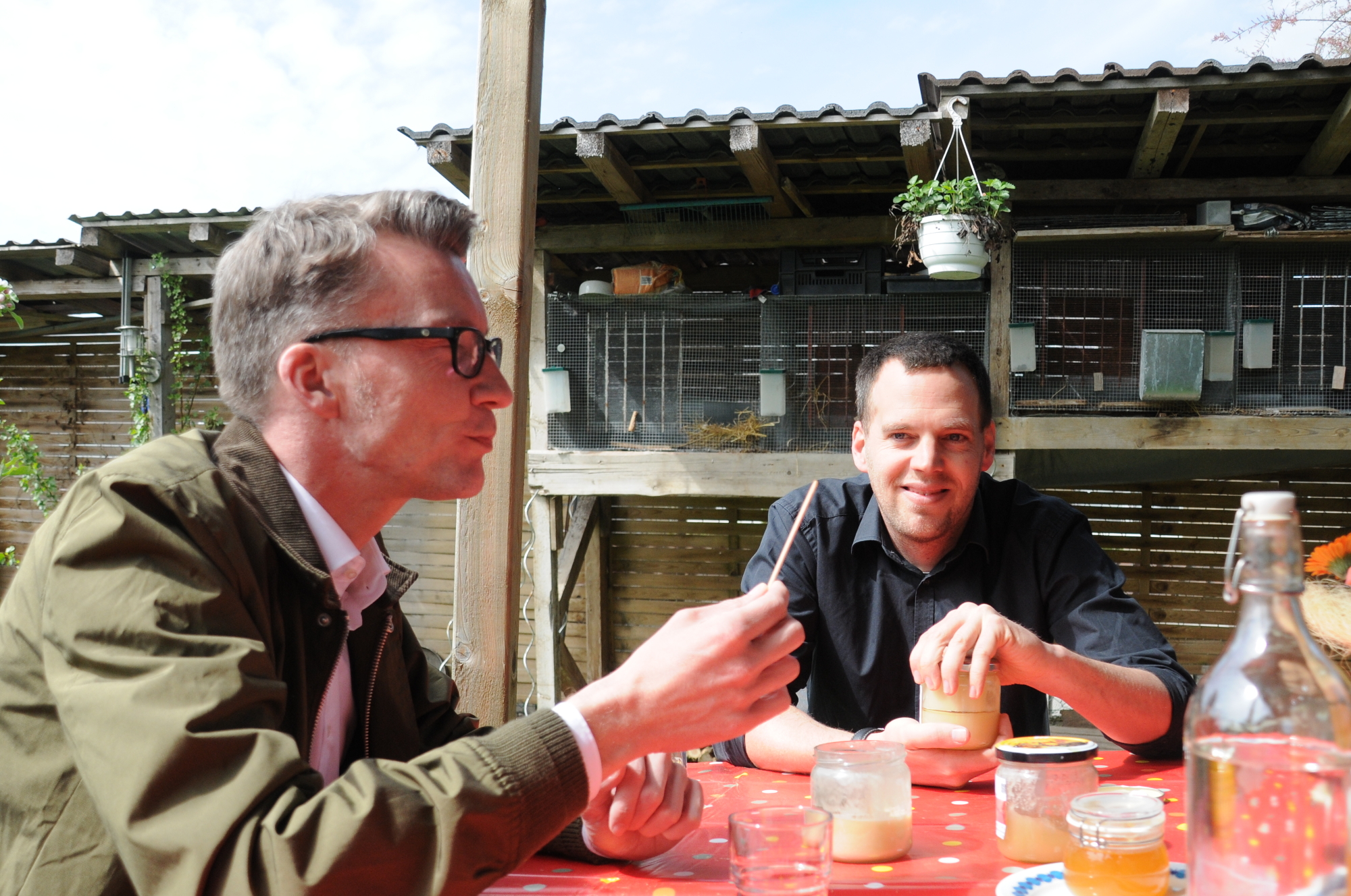 Bessere Lebensbedingungen für Bienen und Insekten